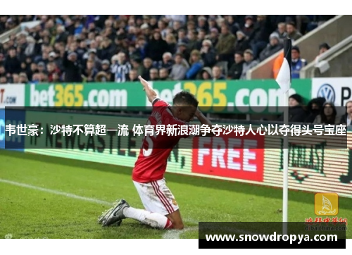 韦世豪：沙特不算超一流 体育界新浪潮争夺沙特人心以夺得头号宝座